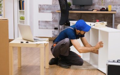 Best Furniture Moving Company In Mohammad Bin Zayed City